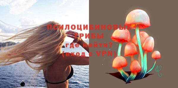 прущий лед Верея