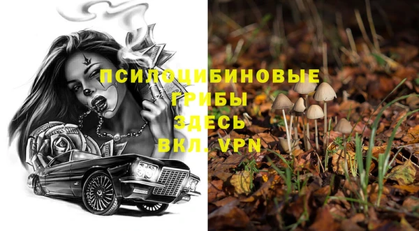 мескалин Верхний Тагил